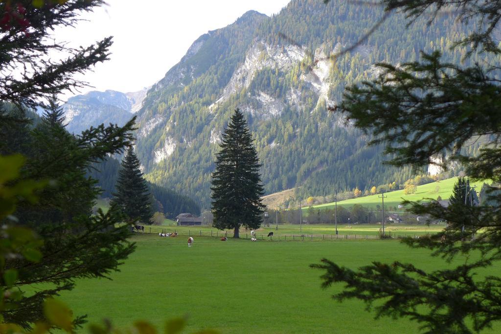 Haus Salzburgerland Lejlighed Mauterndorf  Eksteriør billede