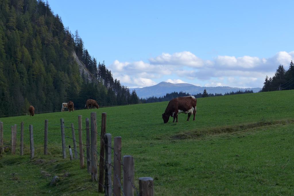 Haus Salzburgerland Lejlighed Mauterndorf  Eksteriør billede